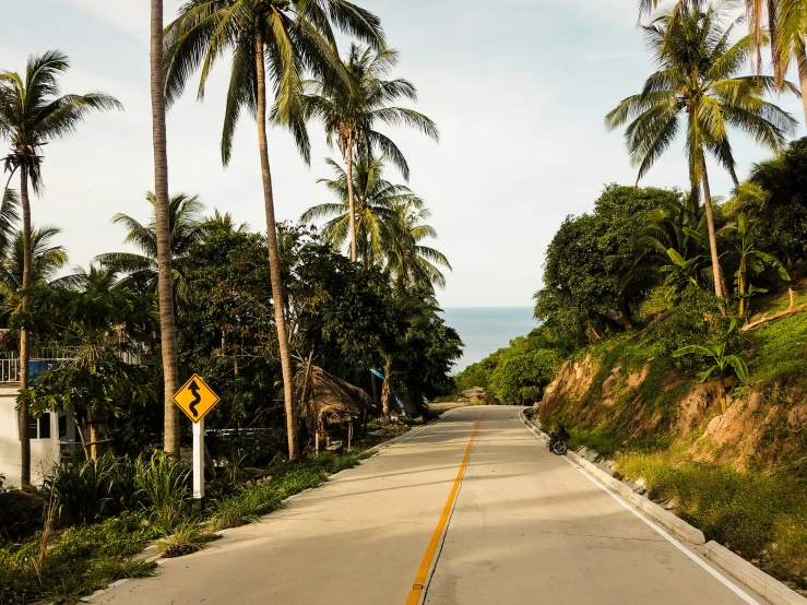 an empty street is surrounded by palm trees