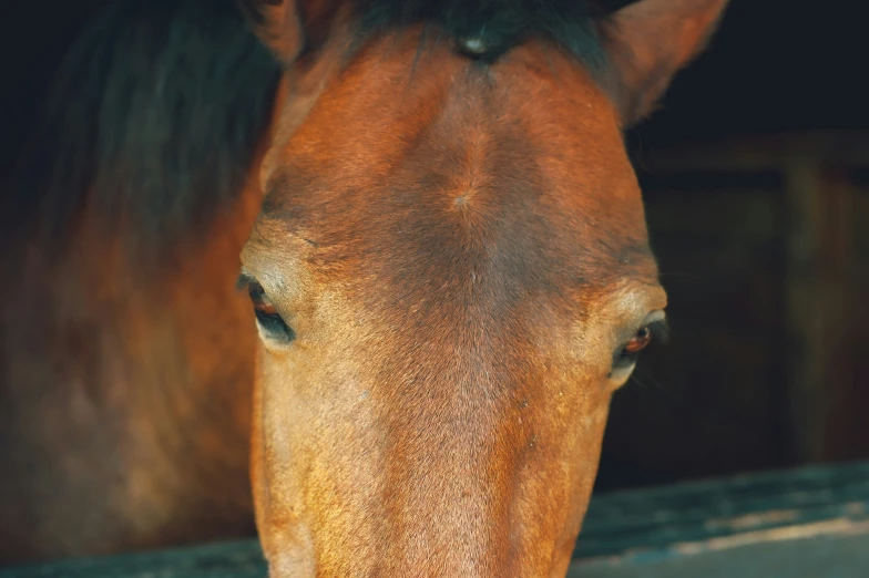 the horse's eyes have a small patch of blue iris