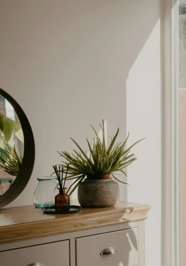 a plant and mirror sit on top of an empty dresser