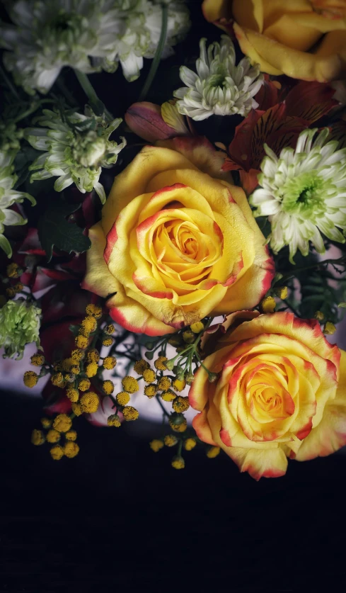 the yellow rose is surrounded by other flowers