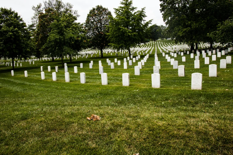 the cemetery has a lot of white headstones