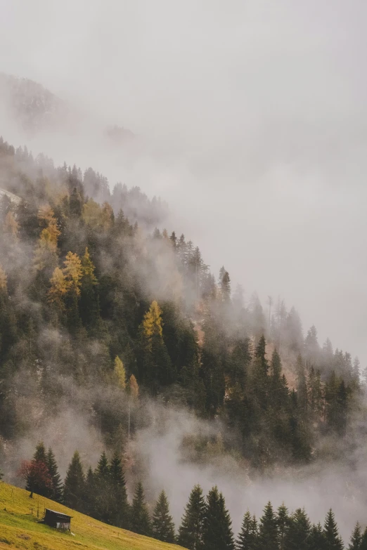 a hill with lots of fog on the top