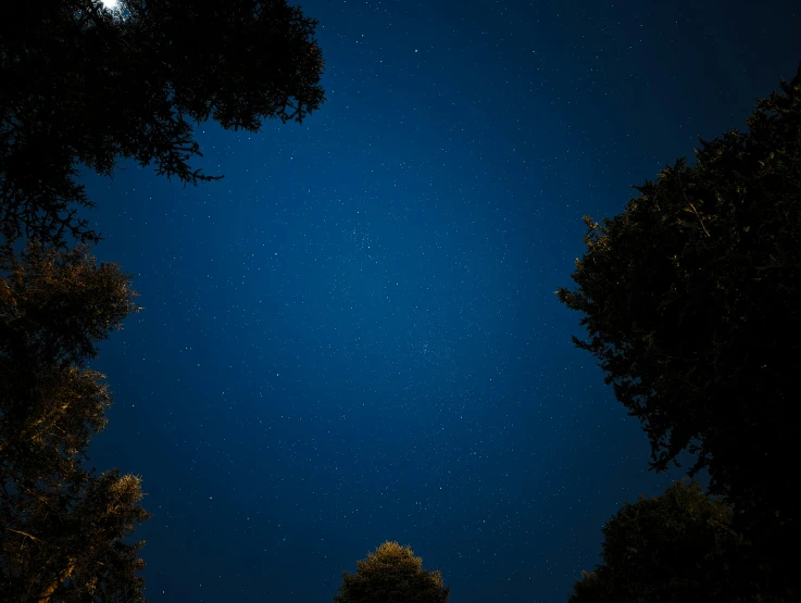 a bright night sky filled with stars over some trees