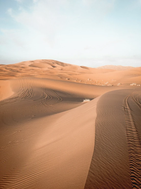 a dirt field in the desert under a blue sky