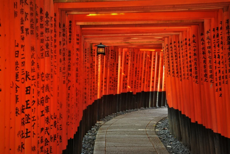 a path is lined with many orange toriri