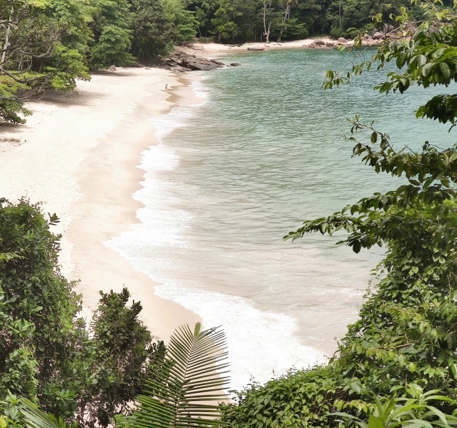 a white sandy beach sitting on top of a lush green forest covered hill