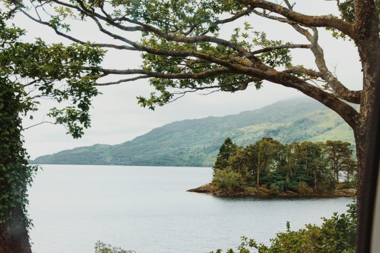 a mountain that looks like a lake with many trees