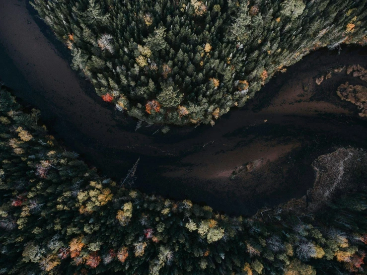 aerial view from above of the river with river bend and forest in back ground