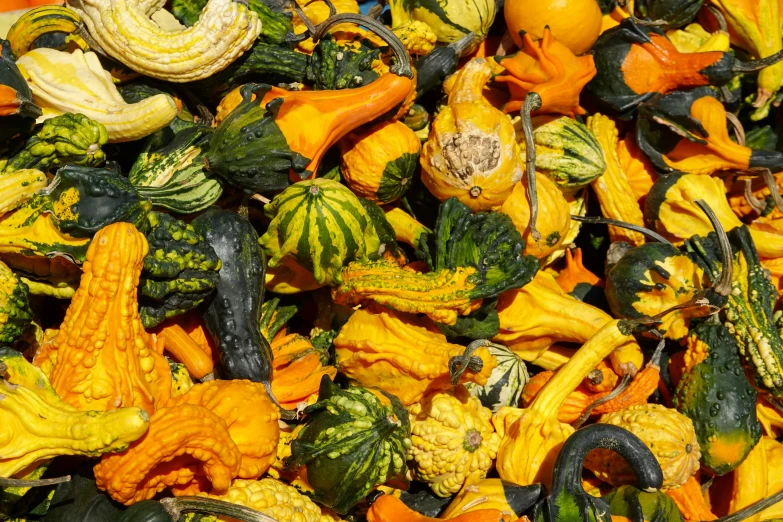 a pile of fake gourds and squash for sale