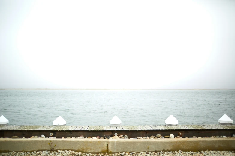 seagulls are sitting on the wooden deck overlooking a water way