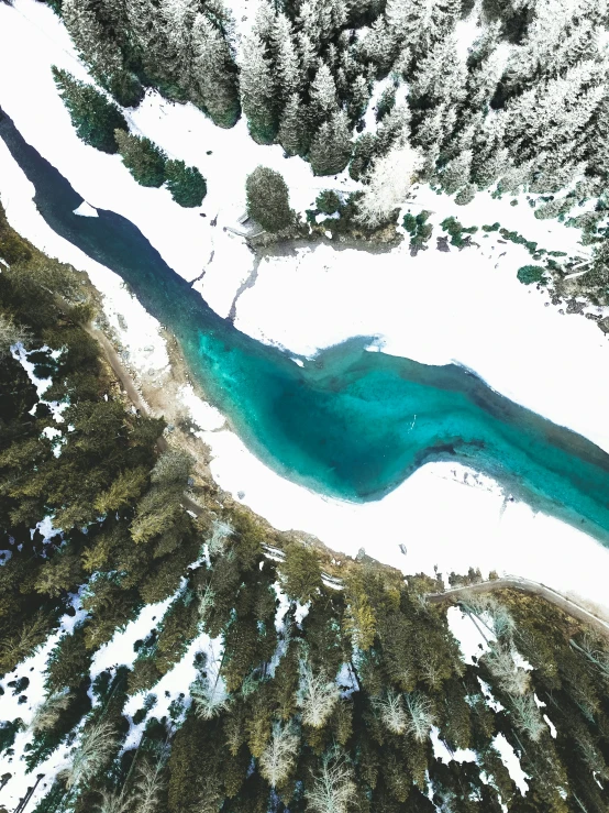 the snow is covered with trees, and water