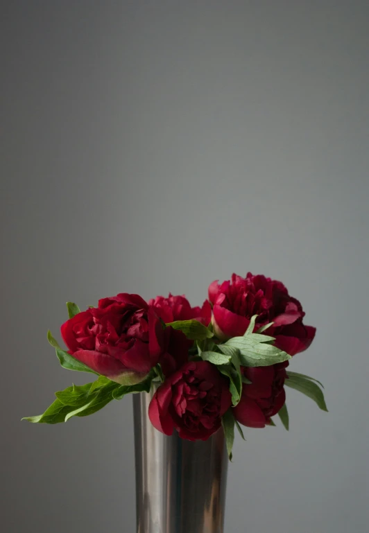 a vase with three red flowers in it