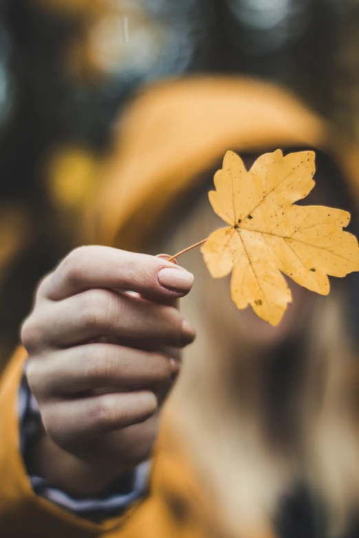 a woman is holding an orange maple leaf