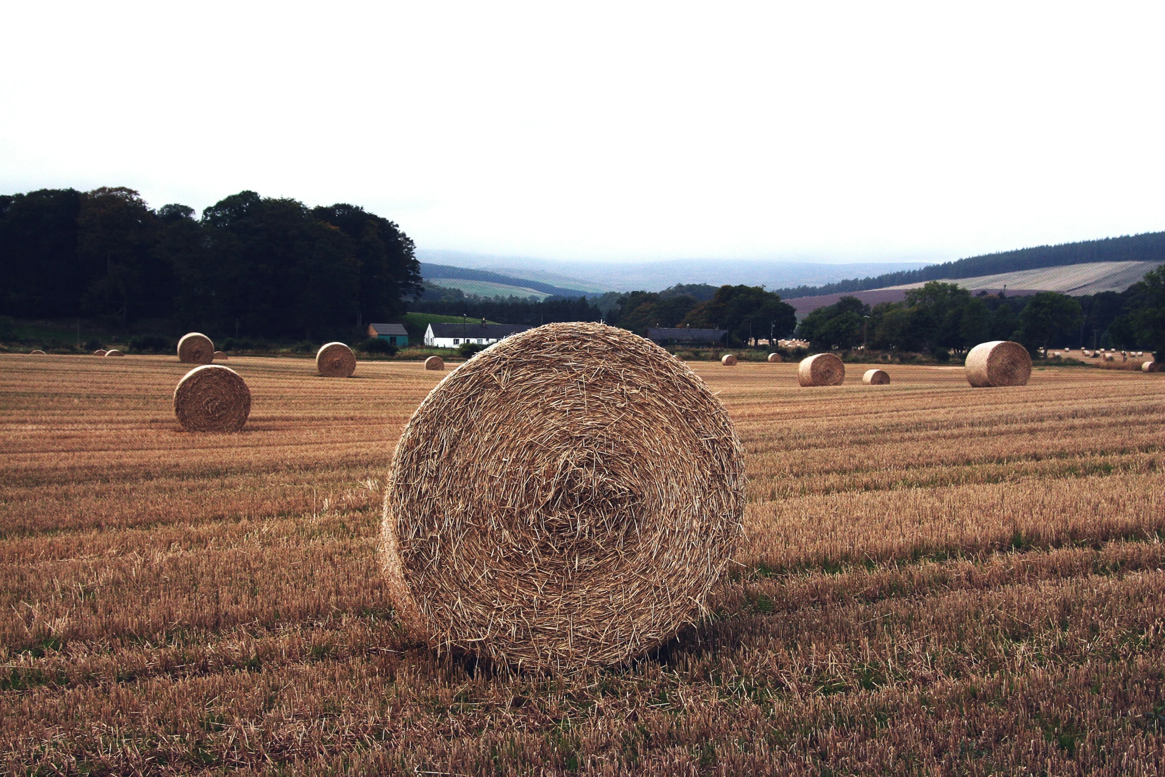 there is hay ball in the field near a building