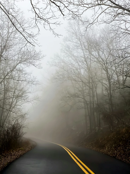 an empty road surrounded by tall trees and fog