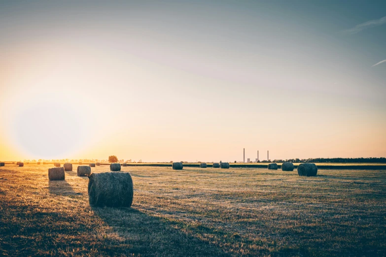 bales in the field at sunset on a clear day