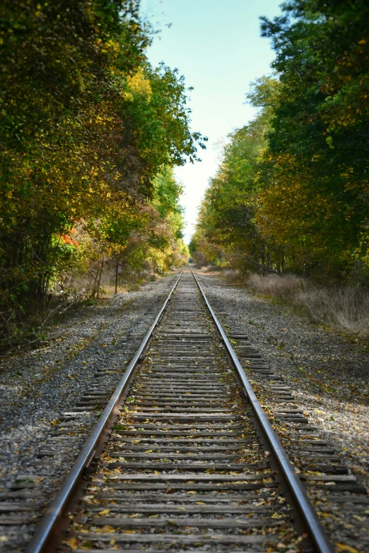 an old train track surrounded by trees and dirt