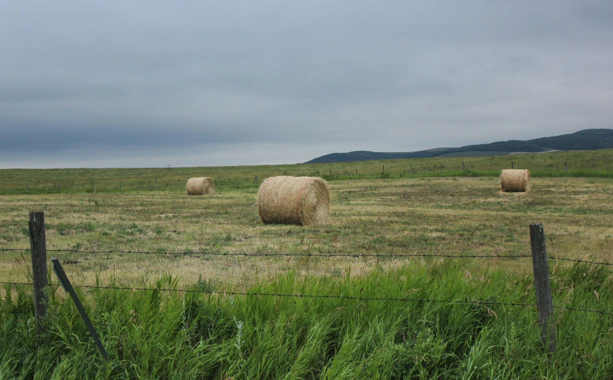 some hay bales are in a grassy field