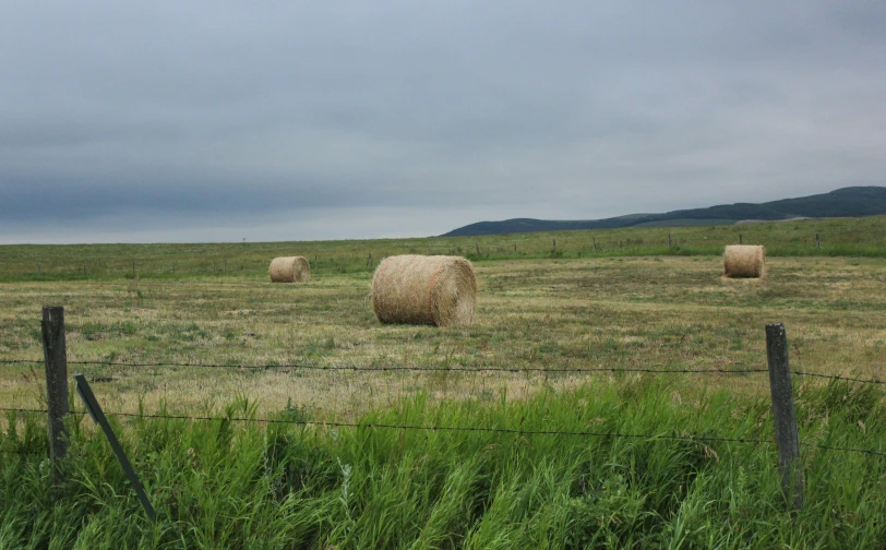 some hay bales are in a grassy field