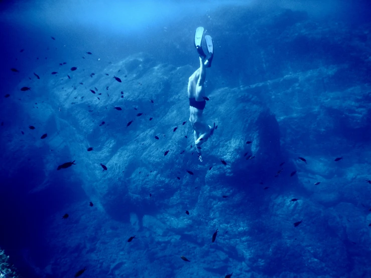 a man in a blue wet suit is swimming