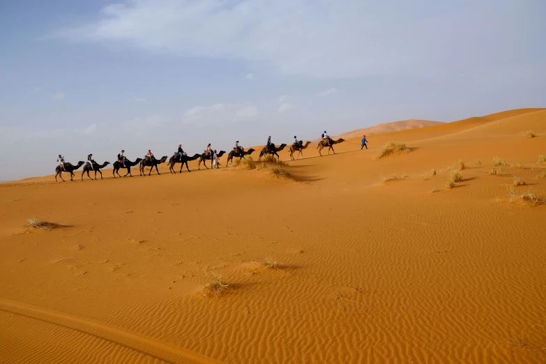 a herd of people riding on the back of camels in a desert