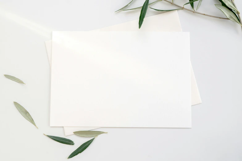 leaves, white cards and white envelopes on a table