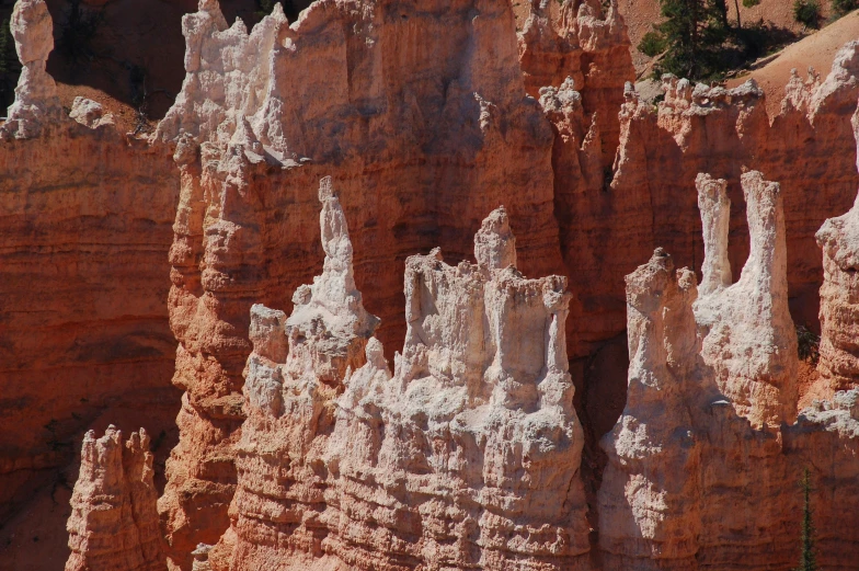 the canyon with formations and trees inside is very colorful