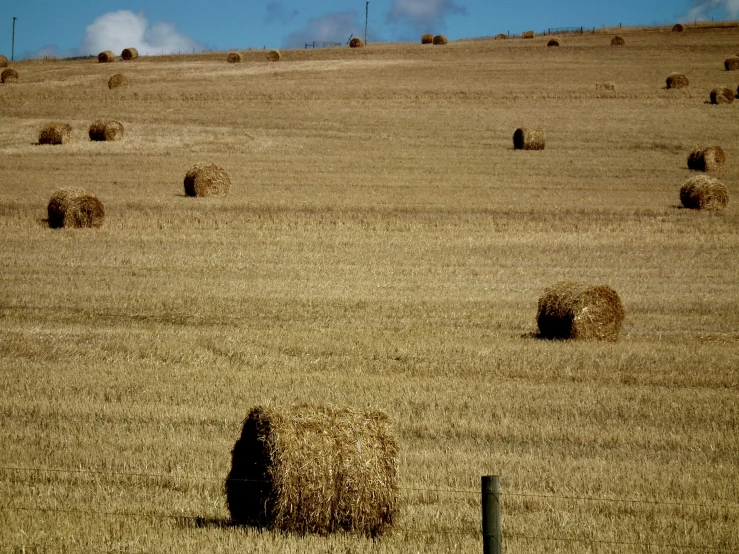 an empty field with several bales and a small fence