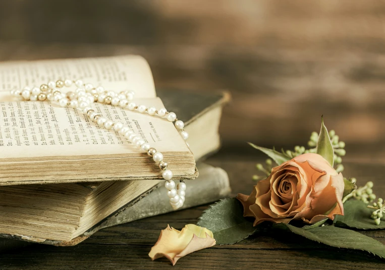 a rose on top of an old book