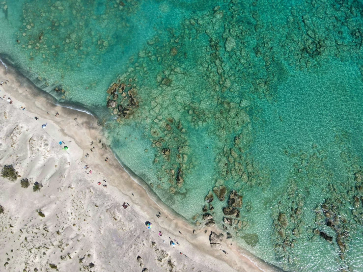 aerial view of people walking on a beach by the water