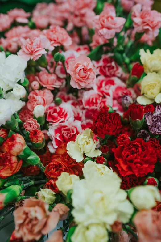 a bunch of different flowers sitting on the table