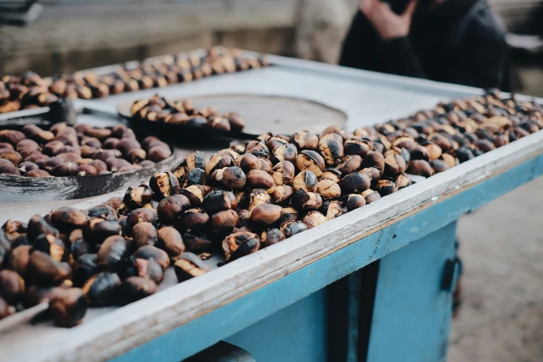 a table topped with lots of acorns next to a person