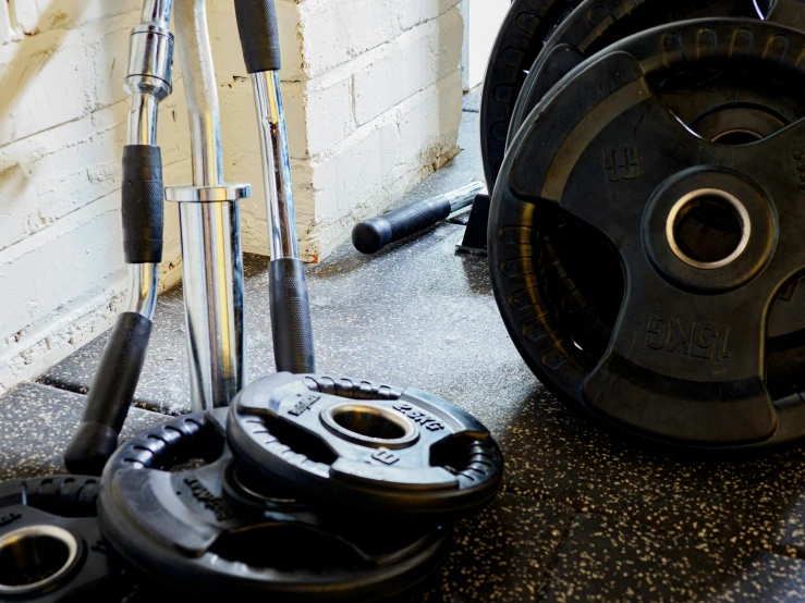 three rows of dumbs, with black wheels in a room