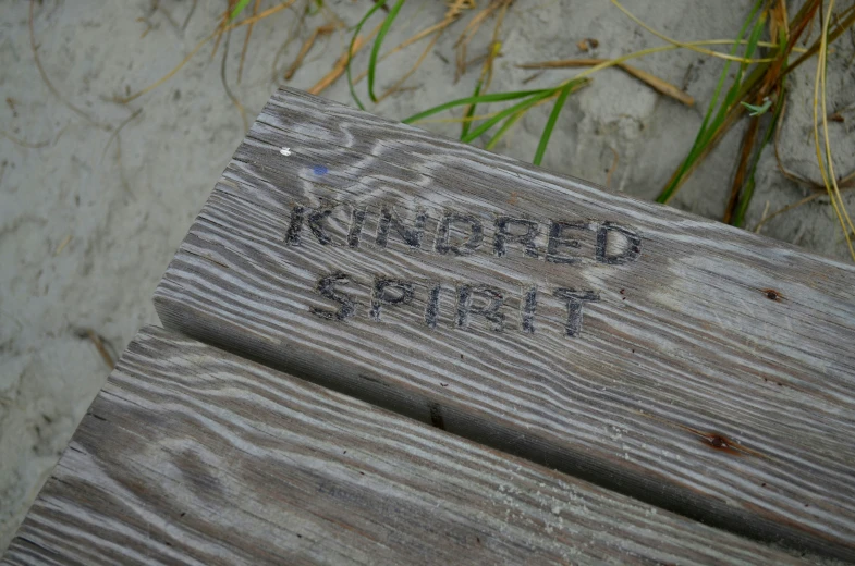close up of an old weathered wood bench