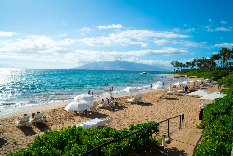 a beach area with a number of umbrellas, chairs and trees