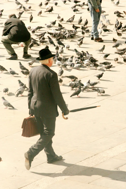 a man walking through a bunch of pigeons while carrying a briefcase