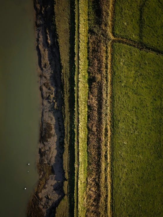 a po of an aerial view of grass on land