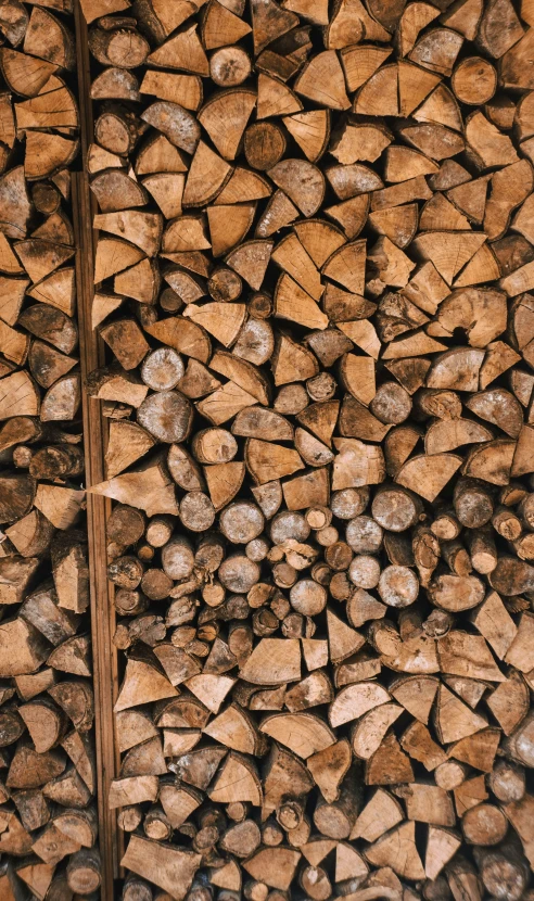 firewood stacked in piles as a background