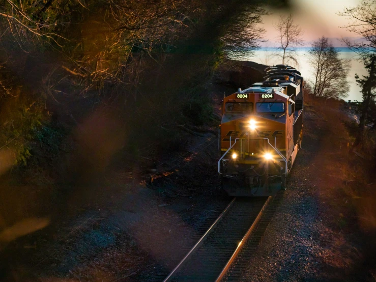 a train on a track near some trees