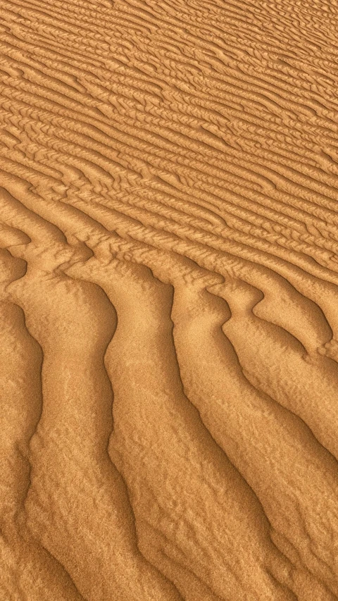 sand dunes with a small amount of water flowing down them