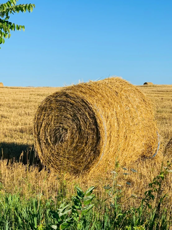 a hay bail sitting in the middle of a field