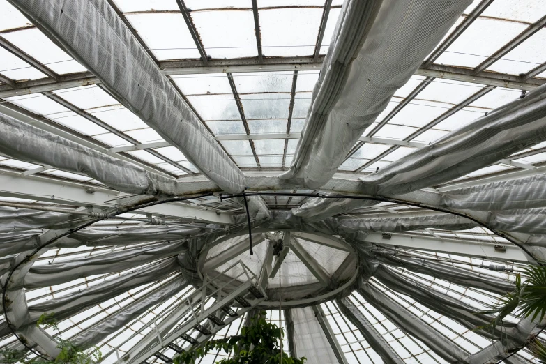 the inside of an outdoor greenhouse roof with lots of windows