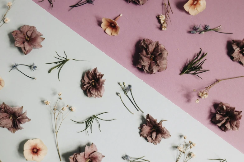 many different flowers are shown arranged on top of a multi - colored backdrop