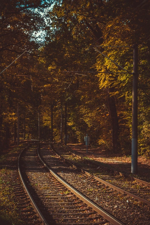 a train track with leaves all over the tracks