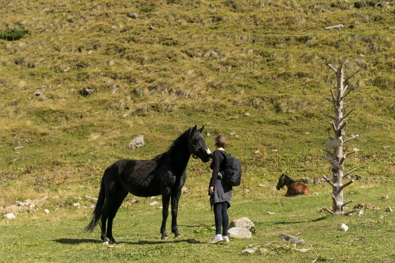 a person and a horse standing on a hill