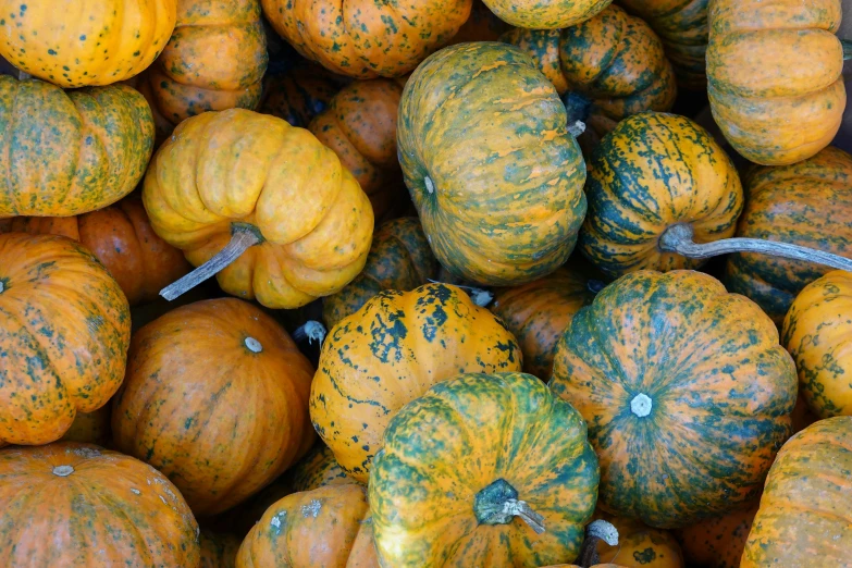 there are pumpkins that have been cut in to shapes