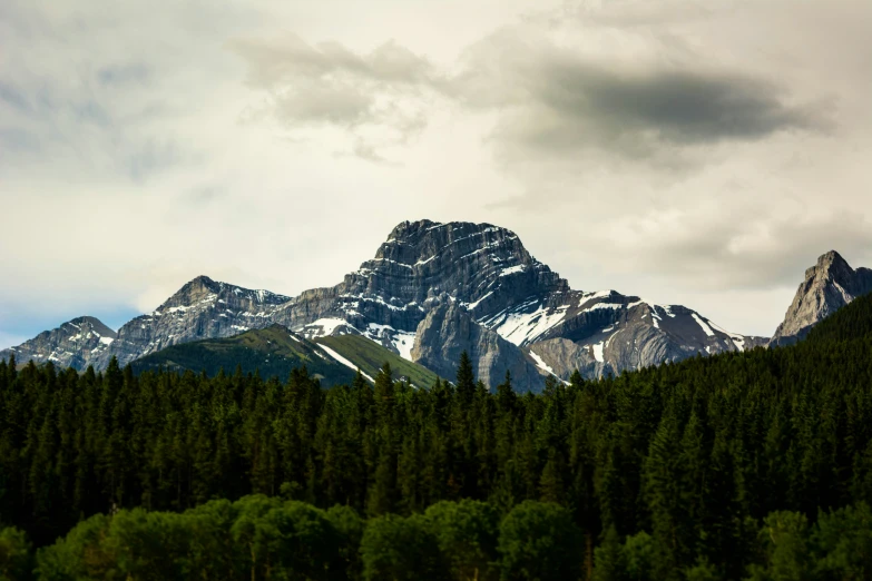 a tall mountain towering over a forest