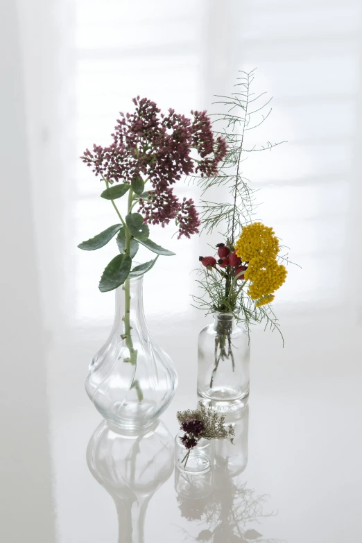 two glass vases of different kinds are sitting on the table