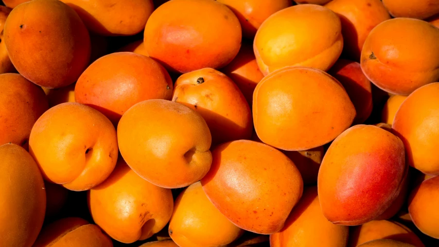 oranges are piled up very closely in a large quantity