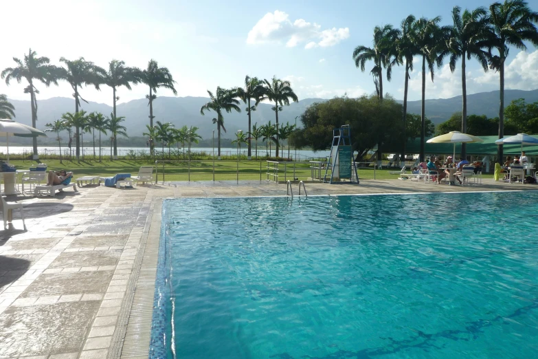 a large pool surrounded by palm trees and lawn chairs